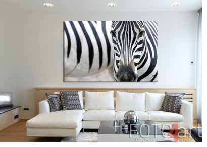 Foto op forex zebra