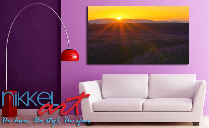 foto op aluminium lavendel
