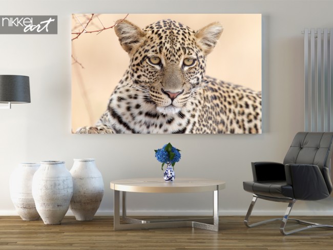 foto op aluminium luipaard