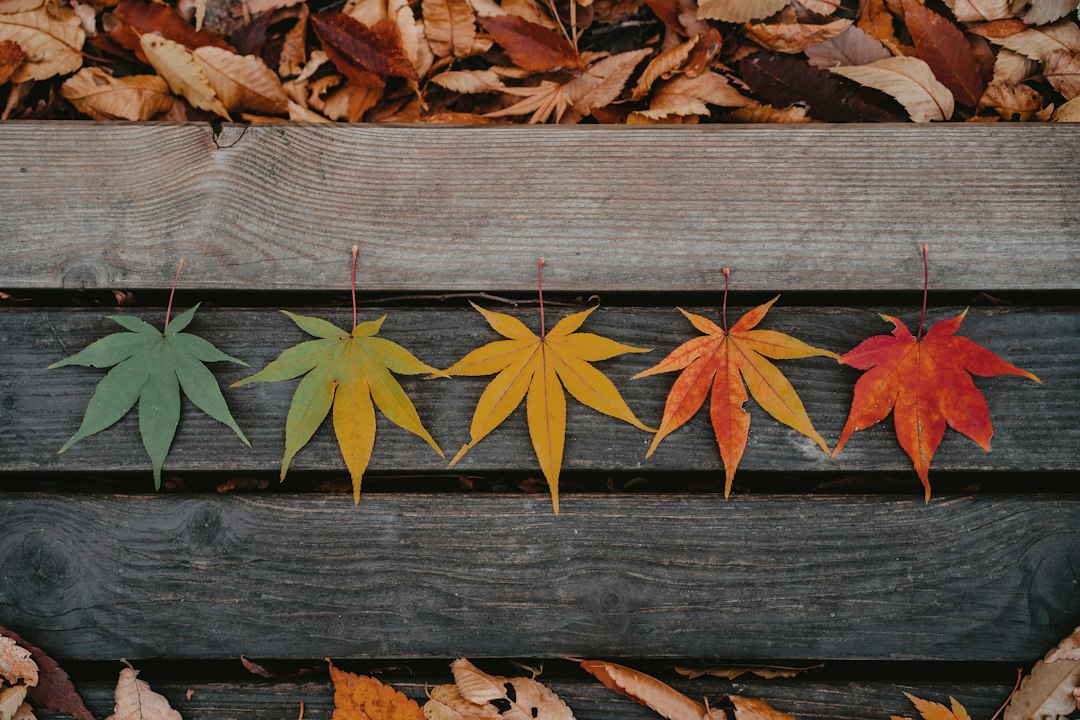 Warme neutrale tinten: creëer een uitgebalanceerd kleurenpalet voor de herfst - Warme neutrale tinten: creëer een uitgebalanceerd kleurenpalet voor de herfst -
